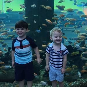 Meet your Posher, John-mark